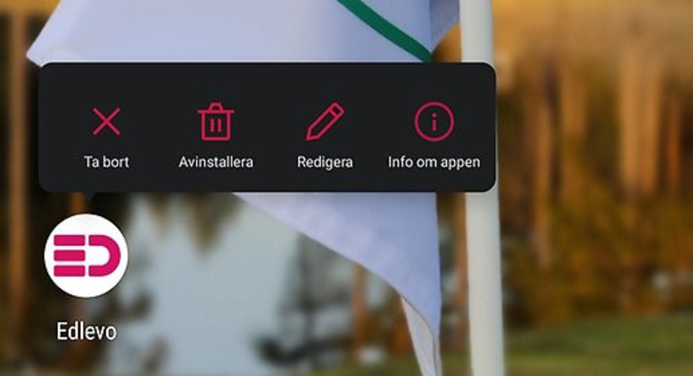 Skärmklipp från Edlevo